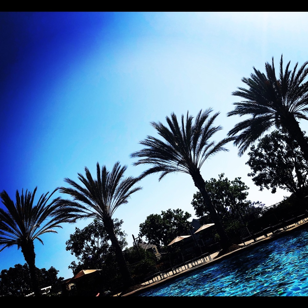 Meet your Posher, Shayna